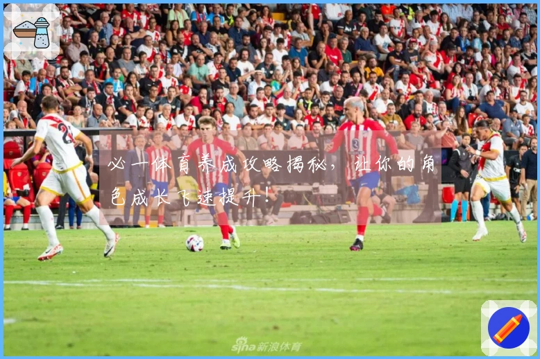 必一体育养成攻略揭秘，让你的角色成长飞速提升！