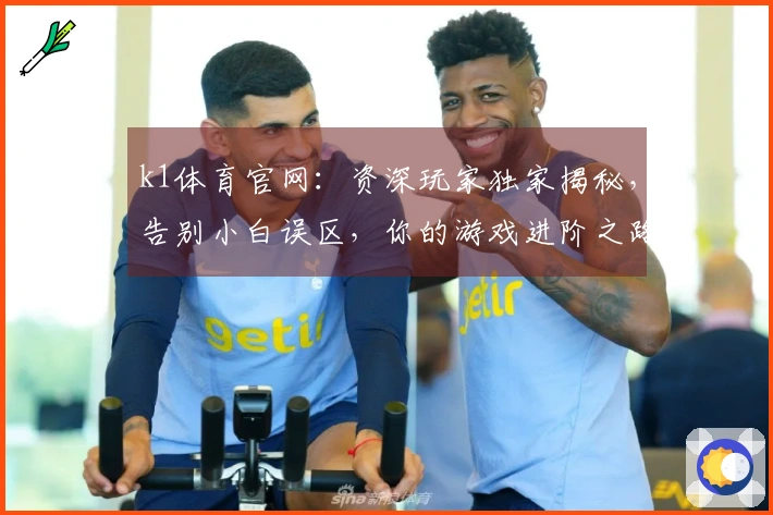 k1体育官网：资深玩家独家揭秘，告别小白误区，你的游戏进阶之路就此开启