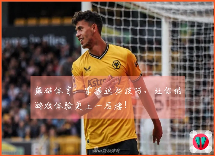 熊猫体育：掌握这些技巧，让你的游戏体验更上一层楼！