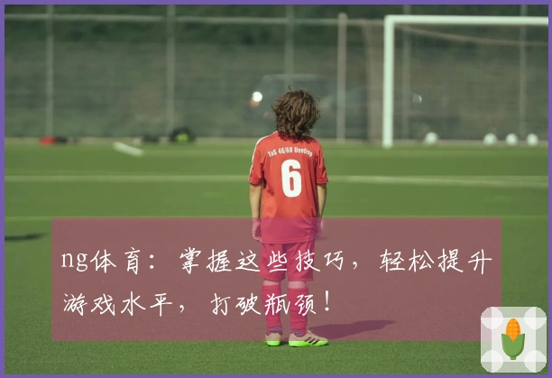 ng体育:掌握这些技巧,轻松提升游戏水平,打破瓶颈!